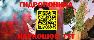 Альфа ПВП Братск